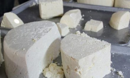 Venezuela en el segundo puesto como mayor productor de queso en el mundo