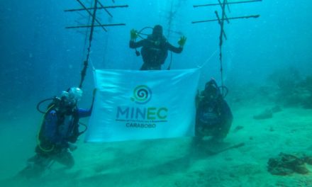 Minec conmemoró el Día Mundial de los Océanos con siembra de corales