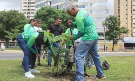 Se consolida Plan de Arborización y Embellecimiento Ambiental en Maracay