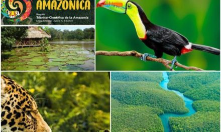 Colombia es escenario del encuentro Camino Amazónica