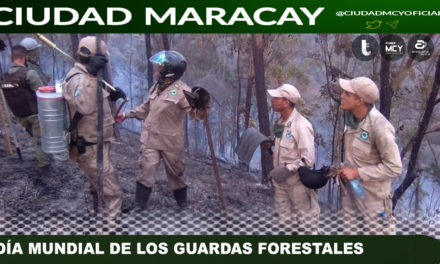 #Efeméride | Día Mundial de los Guardas Forestales