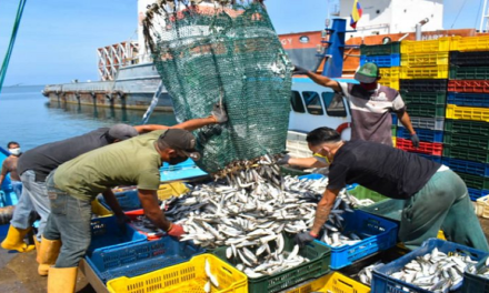Sector pesquero y acuícola reportó crecimiento para consumo nacional y exportaciones
