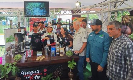 Aragua se posicionó como uno de los mejores cafés del país