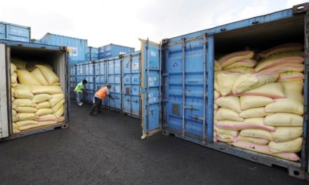 Ecuador iniciará importación de arroz desde Uruguay