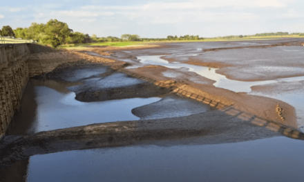 Disminuye crisis hídrica en Uruguay tras lluvias
