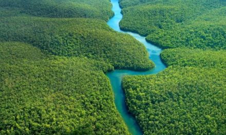 Cumbre de la Amazonía comienza en Brasil