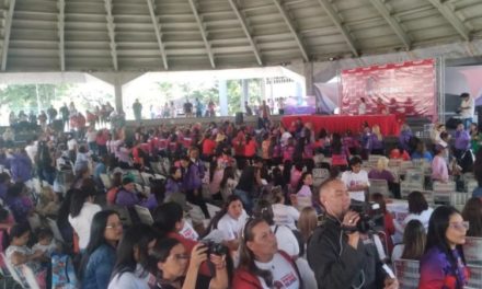 Más de 350 féminas participan en primer encuentro de la Vicepresidencia de la Mujer del Psuv