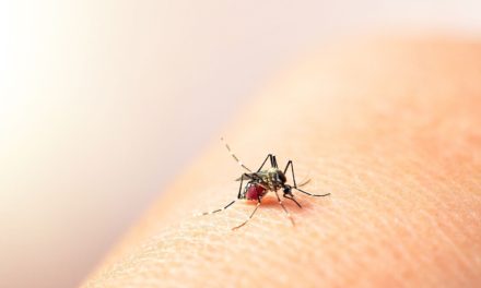 ¡Pícale Adelante al Dengue! Conoce cómo prevenirlo