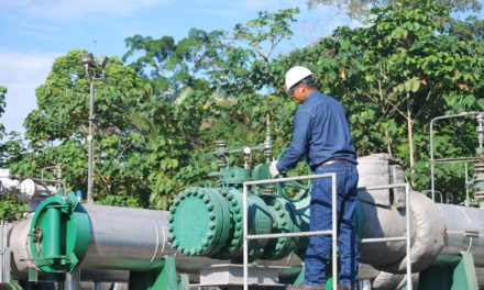 Exigieron al gobierno de Ecuador detener extracción petrolera en Yasuní