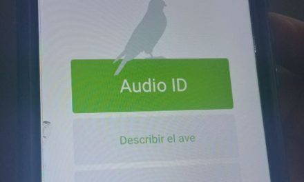 En Aragua se utiliza la IA para la identificación de aves