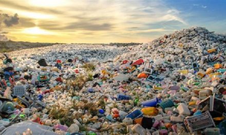 Panamá, Jamaica y Colombia iniciaron proyecto contra contaminación por plástico
