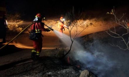 Incendio de Tenerife sin control ya quemó 3.800 hectáreas