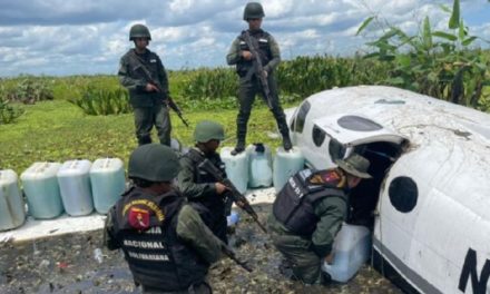 Fanb ha inutilizado en el país 362 aeronaves hostiles asociadas al narcotráfico