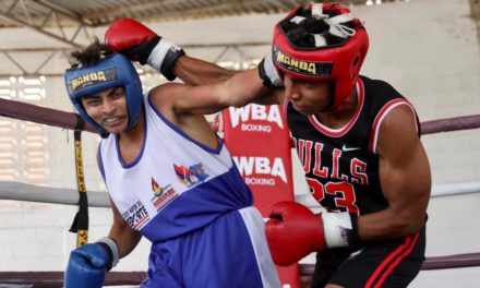 Asociación Mundial de Boxeo apunta al futuro del boxeo venezolano