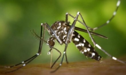 Epidemia de dengue se hace fuerte en República Dominicana