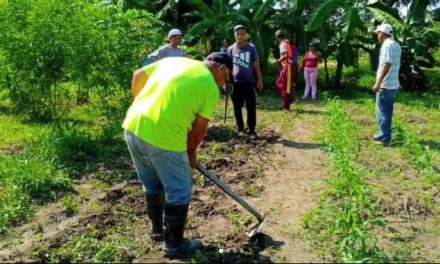 Desarrollado Miércoles Productivo en municipios de Aragua