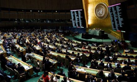 ONU se reúne para buscar resolución conjunta por crisis Israel-Palestina