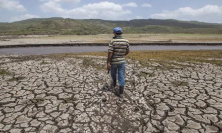 Fenómeno de El Niño del período 2023-2024 podrían ser más acentuados