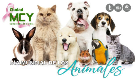 #Efeméride | Día Mundial de los Animales