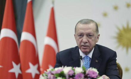 Presidente Erdogan presentó iniciativa para solucionar conflicto palestino-israelí