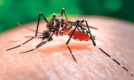 Alerta en Brasil por aumento de muertes a causa del dengue