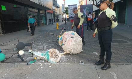 Alcaldía de Girardot repudió vandalismo en obra expuesta en la V Bienal del Sur