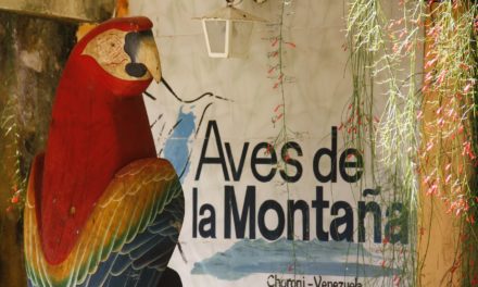 Aves de la Montaña: Un espacio para la paz y el encuentro familiar