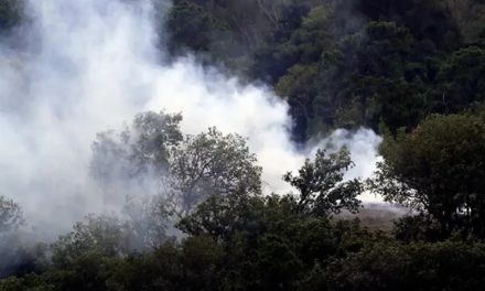 Gobierno colombiano declaró emergencia por incendios forestales