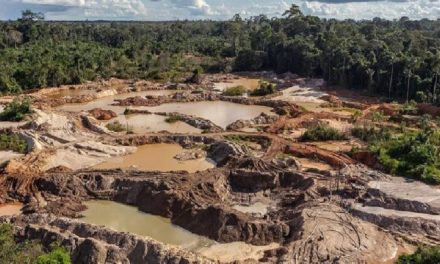 Fanb ha desalojado más de 500 mineros ilegales en Bolívar