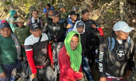 FANB desalojó a 30 colombianos que pretendían unirse a la minería ilegal