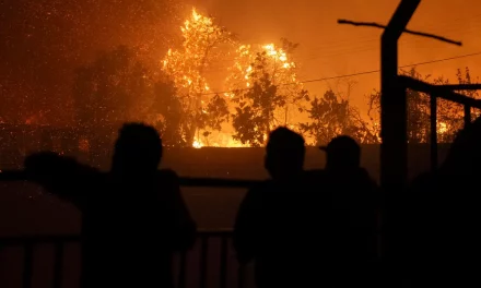 Incendios forestales en Chile causan más de 100 muertes