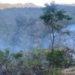 Múltiples incendios forestales registrados en áreas silvestres de Costa Rica