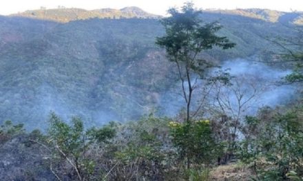 Múltiples incendios forestales registrados en áreas silvestres de Costa Rica