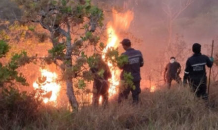 Autoridades continúan labores para sofocar incendios en Parque Nacional Henri Pittier