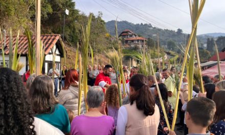 Más de 1.500 palmas se entregaron en Tovar este Domingo de Ramos