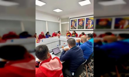 PSUV Caracas planifica acciones de cara a las elecciones del 28-J