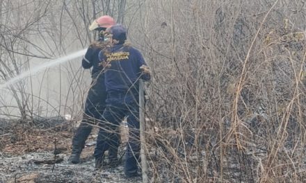 Sofocadas las llamas de un incendio de  vegetación en MBI