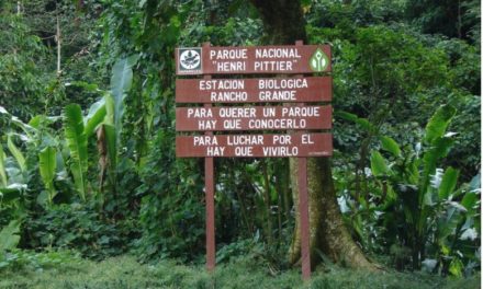 Brigada del Cambio Climático promovió cuidado del medio ambiente en Aragua
