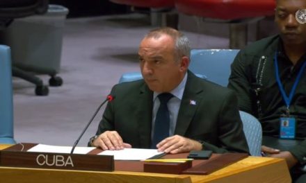 Cuba exige a Consejo Seguridad ONU protección de civiles en Gaza