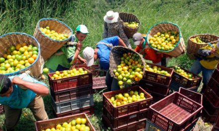 Acuerdo busca apoyar a pequeños productores del suroeste de Colombia