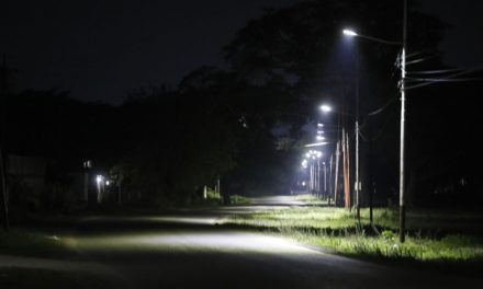 Gobierno de Aragua instaló luminarias en vía de Taragua