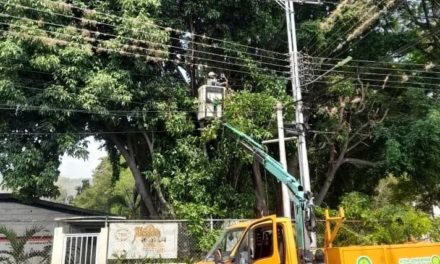 Corpoelec Aragua continúa trabajos de mantenimiento en diversos municipios