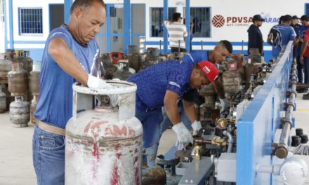 Ejecutiva regional inspeccionó la Planta de Gas Arsenal en Victoria