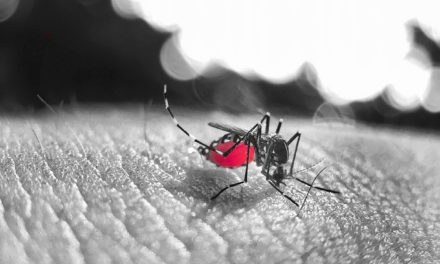 El Dengue: Epidemia en ascenso en el continente suramericano