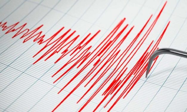 Temblor de magnitud 4,2 se registró este domingo con epicentro en Isla La Tortuga