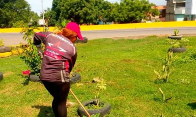 Ejecutadas acciones de mantenimiento en Francisco Linares Alcántara