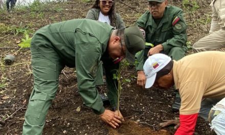 Gobierno Bolivariano continúa jornadas de reforestación en el estado Aragua