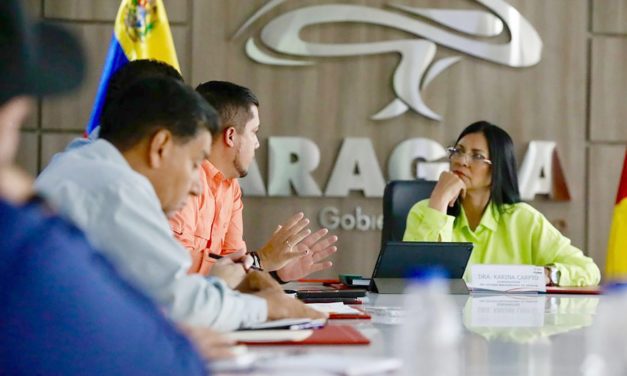 Aragua planea estrategias para consolidar el desarrollo turístico de la región