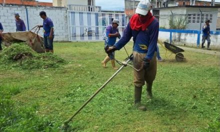 Efectuados trabajos de limpieza y mantenimiento en lamas