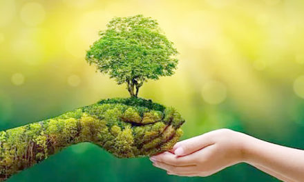 Campañas ecológicas sensibilizan al mundo en favor del medio ambiente